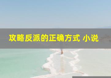 攻略反派的正确方式 小说